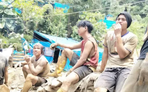 Jakarta - Presiden Prabowo Subianto geram karena masih banyak ditemui pertambangan ilegal di dalam negeri hingga penyelundupan emas yang dilakukan pihak-pihak tak bertanggung jawab. Menurut Prabowo, itu adalah salah satu tantangan dalam mengelola sumber daya alam negeri yang berlimpah. "Masih terdapat beberapa penyimpangan-penyimpangan, ada illegal mining di mana-mana, ada penyelundupan mas ke luar negeri tanpa melalui proses yang benar," ujar Prabowo saat meresmikan Pabrik Emas Freeport di Gresik, Jawa Timur, Senin (17/3). Kepala negara ini menegaskan bahwa tindakan tersebut sangat merugikan negara sehingga perlu dibasmi. "Ini merugikan negara bangsa dan rakyat dan ini akan kita tindak, akan kita telusuri. Kita harus terus menerus memberantas segala penyimpangan, penyelundupan ke luar Indonesia merugikan penerimaan kita, penyelundupan barang luar ke Indonesia juga mengancam industri kita, mengancam pekerjaan ratusan ribu rakyat kita," jelasnya. Berbeda dengan seorang wartawan yang mengalami penganiayaan diduga dilakukan oleh Boss Tambang Ilegal (PETI) di lokasi tambang Desa Tangga Bosi Bukit Siayo, Kabupaten Mandailing Natal Sumatra Utara pada tahun 2022 15 April 2025. Sampai 2025 sekarang belum mendapatkan keadilan di mana pelaku penganiayaan masih bebas berkeliaran di lokasi tambang ilegal. " Saya kira pelaku kebal hukum dan Polda Sumatra Utara dan Polres Madina sektor polsek siabu tidak patuh atas perintaj presiden Prabowo dimana tambang ilegal harus di basmi agar tidak merugikan negara hingga saat ini tambang emas ilegal yang terletak lokasi tambang Desa Tangga Bosi Bukit Siayo, Kabupaten Mandailing Natal Sumatra Utara masih beroprasi. Bukan hanya tidak di tutup tambang emas ilegal tersebut namun pihak kepolisain polsek siabu membiarkan korban penganiayaan selama 3 tahun bebas berkeliaran . Selama 3 tahun korban penganiayaan wartawan bebas berkeliaran dan tambang emas ilegal pun tidak ada penindakan, jika himbauan Presiden Prabowo saja hiraukan kemana lagi korban harus mencari keadilan, ungkap lesmana Helawa. " Setiap kita kinfirmasi kepada polsek siabu jawabnya kita sedang upayakan, selama 3 tahun. Saat media menkonfirmasi kepada kapolsek siabu mengatakan sedang diupayakan, " Kami sedang upayak pak. Informasi yang dihimpun sampai berita ini di terbitkan pelaku penganiayaan sering menghubungi korban dengan mengancam dan akan membunuh, kegiatan tambang emas ilegal masih beroprasi sampai sekarang.