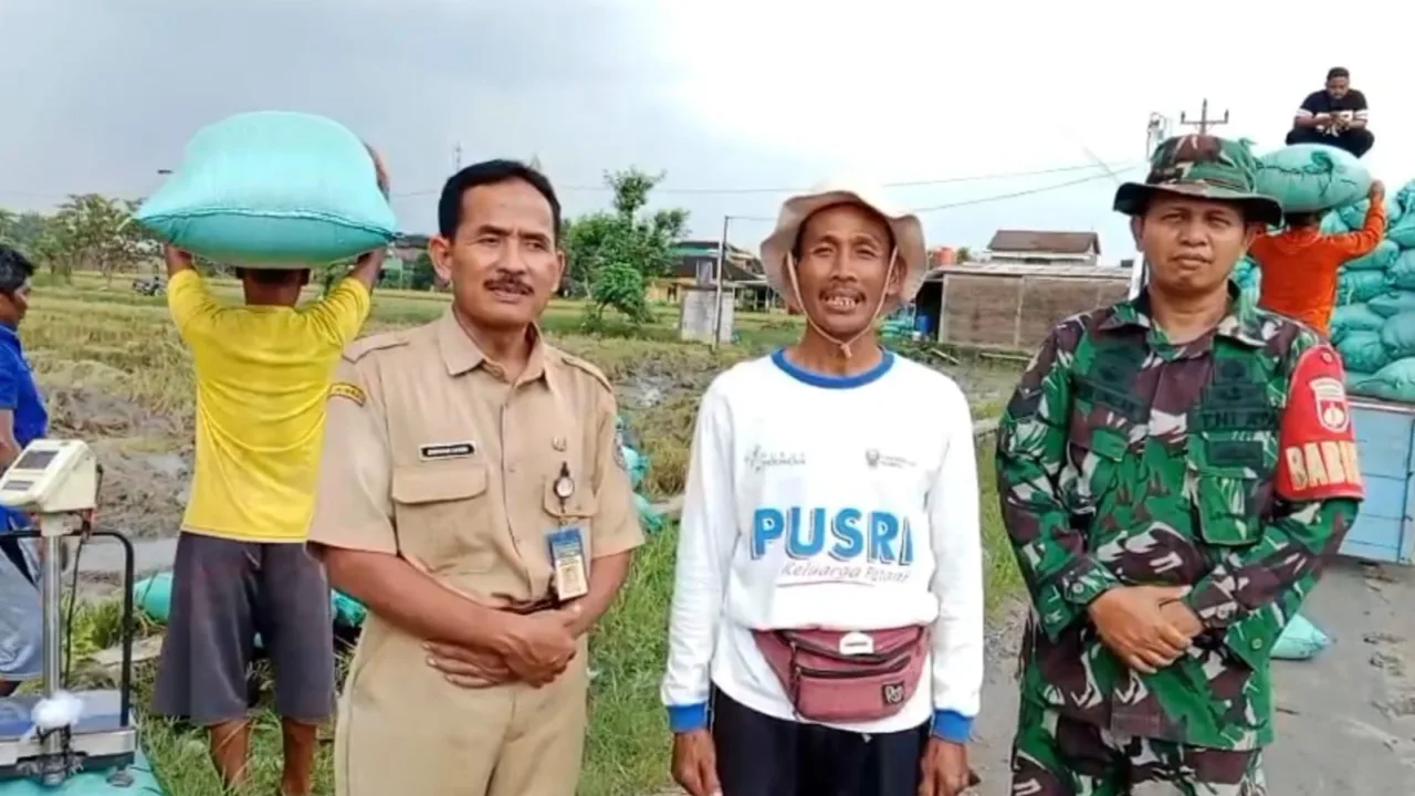 Musim panen raya yang biasanya membawa kecemasan bagi petani akibat anjloknya harga gabah, kini berubah menjadi kabar gembira. Para petani menyampaikan apresiasi tinggi atas kebijakan pemerintah yang menetapkan HPP gabah sebesar Rp6.500 per kilogram, yang dinilai sangat membantu dan memberikan harapan baru bagi kesejahteraan mereka. Salah satunya dirasakan langsung oleh Jarwanto, petani di Desa Manggis, Kecamatan Mojosongo, Kabupaten Boyolali, Jawa Tengah. Pada awal Januari 2025 lalu, ia sempat menghadapi tantangan berat karena harga gabah masih berada pada kisaran Rp.6.000 dan dirinya memprediksi ketika panen raya di Bulan April 2025 ini akan Rp4.000 hingga Rp5.000 per kilogram seperti pada keterangannya di media pada Bulan Januari lalu, harga yang menurutnya tidak sebanding dengan biaya produksi dan tenaga yang dikeluarkan petani. Namun kini, situasi itu berubah. Dengan kebijakan baru yang dikeluarkan oleh Presiden Prabowo, harga gabah hasil panen raya bisa dibeli oleh Bulog di angka Rp6.500 per kilogram. “Saya merasa sangat senang dan bahagia. Full senyum mas. Pemerintah benar-benar memikirkan nasib petani saat musim panen raya. Harga gabah sekarang jauh lebih layak,” ujar Jarwanto. Hal senada juga diungkapkan oleh Marjoko, Ketua Gabungan Kelompok Tani (Gapoktan) Margomulyo, Jatis, Karanganyar. Ia menyampaikan bahwa kebijakan pemerintah ini mampu melindungi petani dari permainan harga oleh tengkulak, yang biasanya terjadi saat panen raya terutama di musim hujan. “Ya, terima kasih sekali. Pemerintah sudah mengeluarkan kebijakan dengan membeli harga langsung ke petani lewat Bulog. Karena kan kalau musim gini biasanya ada permainan tengkulak. Harga bisa di bawah Rp6.000, bahkan lebih rendah lagi. Ini alhamdulillah pemerintah pusat sudah menetapkan HPP Rp6.500. Terima kasih sekali,” tutur Marjoko. Dengan hadirnya HPP yang berpihak pada petani, pemerintah menunjukkan komitmennya dalam menjaga stabilitas harga dan kesejahteraan petani. Petani berharap kebijakan ini dapat terus dipertahankan dan dikawal pelaksanaannya di lapangan, demikian juga dengan harga gabah untuk Musim Tanam kedua dan Musim Tanam ketiga. “Harapan kami untuk MT2, MT3 itu kan biasanya kan harga lebih dari itu. Nanti kalau HPP 6,500 rupiah mungkin ya, petani kurang, Pak. Soalnya harganya lagi tinggi kalau MT2, MT3 itu.” Papar Marjoko. Marjoko juga menambahkan kemudahan bantuan pupuk dan benih pada musim tanam kali ini. “Alhamdulillah pupuk sudah lancar. Pakai kartu tani langsung ke kios, langsung dicairkan begitu, sesuai RDKK. Bantuan benih di musim kemarin dari desember varietas Inpari 32, dan yang Februari kemarin Inpari 32 itu ada lagi”, tutup Marjoko.