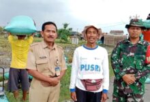 Musim Panen Raya Yang Biasanya Membawa Kecemasan Bagi Petani Akibat Anjloknya Harga Gabah, Kini Berubah Menjadi Kabar Gembira. Para Petani Menyampaikan Apresiasi Tinggi Atas Kebijakan Pemerintah Yang Menetapkan Hpp Gabah Sebesar Rp6.500 Per Kilogram, Yang Dinilai Sangat Membantu Dan Memberikan Harapan Baru Bagi Kesejahteraan Mereka. Salah Satunya Dirasakan Langsung Oleh Jarwanto, Petani Di Desa Manggis, Kecamatan Mojosongo, Kabupaten Boyolali, Jawa Tengah. Pada Awal Januari 2025 Lalu, Ia Sempat Menghadapi Tantangan Berat Karena Harga Gabah Masih Berada Pada Kisaran Rp.6.000 Dan Dirinya Memprediksi Ketika Panen Raya Di Bulan April 2025 Ini Akan Rp4.000 Hingga Rp5.000 Per Kilogram Seperti Pada Keterangannya Di Media Pada Bulan Januari Lalu, Harga Yang Menurutnya Tidak Sebanding Dengan Biaya Produksi Dan Tenaga Yang Dikeluarkan Petani. Namun Kini, Situasi Itu Berubah. Dengan Kebijakan Baru Yang Dikeluarkan Oleh Presiden Prabowo, Harga Gabah Hasil Panen Raya Bisa Dibeli Oleh Bulog Di Angka Rp6.500 Per Kilogram. “Saya Merasa Sangat Senang Dan Bahagia. Full Senyum Mas. Pemerintah Benar-Benar Memikirkan Nasib Petani Saat Musim Panen Raya. Harga Gabah Sekarang Jauh Lebih Layak,” Ujar Jarwanto. Hal Senada Juga Diungkapkan Oleh Marjoko, Ketua Gabungan Kelompok Tani (Gapoktan) Margomulyo, Jatis, Karanganyar. Ia Menyampaikan Bahwa Kebijakan Pemerintah Ini Mampu Melindungi Petani Dari Permainan Harga Oleh Tengkulak, Yang Biasanya Terjadi Saat Panen Raya Terutama Di Musim Hujan. “Ya, Terima Kasih Sekali. Pemerintah Sudah Mengeluarkan Kebijakan Dengan Membeli Harga Langsung Ke Petani Lewat Bulog. Karena Kan Kalau Musim Gini Biasanya Ada Permainan Tengkulak. Harga Bisa Di Bawah Rp6.000, Bahkan Lebih Rendah Lagi. Ini Alhamdulillah Pemerintah Pusat Sudah Menetapkan Hpp Rp6.500. Terima Kasih Sekali,” Tutur Marjoko. Dengan Hadirnya Hpp Yang Berpihak Pada Petani, Pemerintah Menunjukkan Komitmennya Dalam Menjaga Stabilitas Harga Dan Kesejahteraan Petani. Petani Berharap Kebijakan Ini Dapat Terus Dipertahankan Dan Dikawal Pelaksanaannya Di Lapangan, Demikian Juga Dengan Harga Gabah Untuk Musim Tanam Kedua Dan Musim Tanam Ketiga. “Harapan Kami Untuk Mt2, Mt3 Itu Kan Biasanya Kan Harga Lebih Dari Itu. Nanti Kalau Hpp 6,500 Rupiah Mungkin Ya, Petani Kurang, Pak. Soalnya Harganya Lagi Tinggi Kalau Mt2, Mt3 Itu.” Papar Marjoko. Marjoko Juga Menambahkan Kemudahan Bantuan Pupuk Dan Benih Pada Musim Tanam Kali Ini. “Alhamdulillah Pupuk Sudah Lancar. Pakai Kartu Tani Langsung Ke Kios, Langsung Dicairkan Begitu, Sesuai Rdkk. Bantuan Benih Di Musim Kemarin Dari Desember Varietas Inpari 32, Dan Yang Februari Kemarin Inpari 32 Itu Ada Lagi”, Tutup Marjoko.