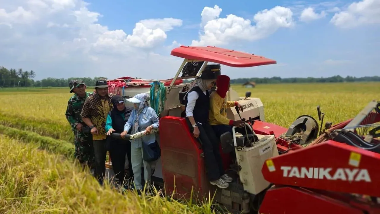 Luar Biasa, Perum BULOG Kancab Lebak Sukses Mendukung Program Swasembada Pangan dan Petani Tersenyum