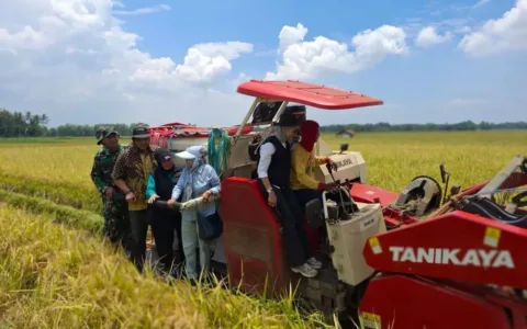 Luar Biasa, Perum BULOG Kancab Lebak Sukses Mendukung Program Swasembada Pangan dan Petani Tersenyum