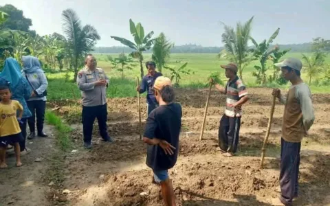 Bhabinkamtibmas Polsek Cibadak Bersama Kelompok Tani Menanam Jagung di Desa Asem