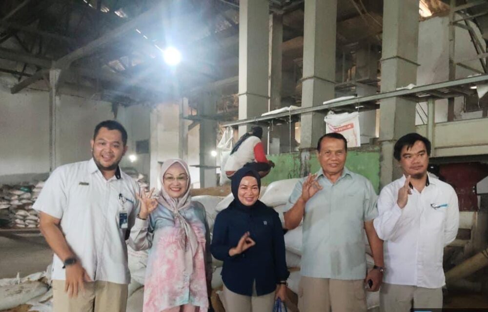 Mantap, Bulog Lebak Dan Pandeglang Ungkap Serap 35 Ribu Ton Gabah Petani