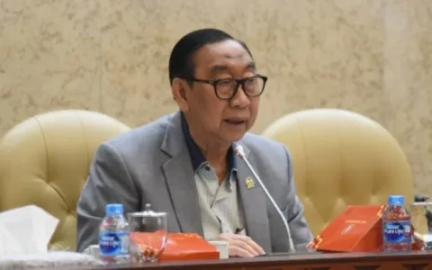 Pemerintah Diminta Pastikan Kepastian Hukum Transmigran di Kawasan Hutan