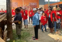 Dewan Kholid Kurban 12 Ekor Sapi Limosin Untuk Masyarakat Kabupaten Tangerang