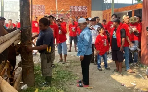 Dewan Kholid Kurban 12 Ekor Sapi Limosin Untuk Masyarakat Kabupaten Tangerang