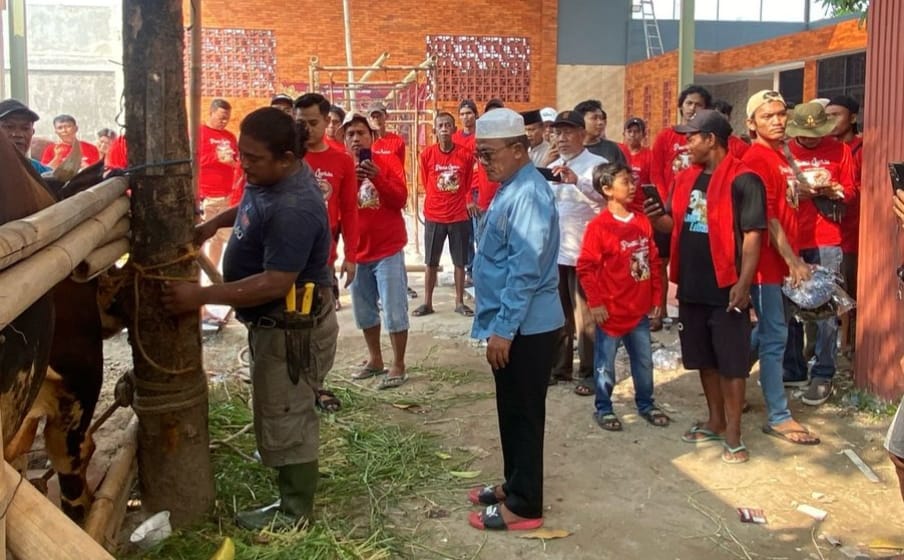 Dewan Kholid Kurban 12 Ekor Sapi Limosin Untuk Masyarakat Kabupaten Tangerang