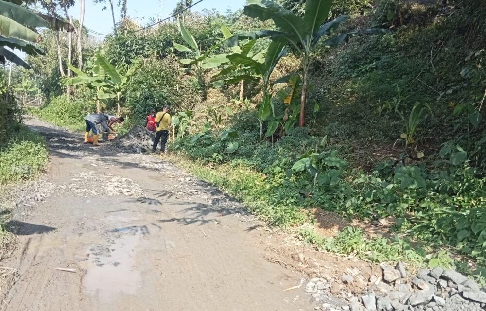 Gawat, Proyek Pembangunan Jalan Di Desa Tambak Baya Diduga Tak Pakai Papan Informasi