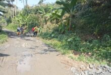 Gawat, Proyek Pembangunan Jalan Di Desa Tambak Baya Diduga Tak Pakai Papan Informasi