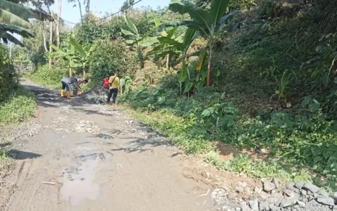 Gawat, Proyek Pembangunan Jalan di Desa Tambak Baya Diduga Tak Pakai Papan Informasi