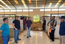 Bantah Peras Tersangka Benny Chandra, Kajari Tolitoli Tegaskan Faktanya Diputar-Balikkan Dan Saya Yang Dimintain Duit