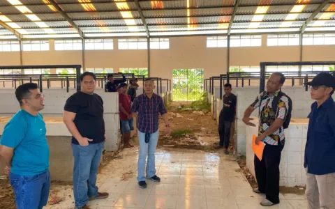 Bantah Peras Tersangka Benny Chandra, Kajari Tolitoli Tegaskan Faktanya Diputar-balikkan dan Saya yang Dimintain Duit