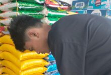 Kenaikan Harga Sembako Di Papua Tengah, Yusak Tebay Serukan Tindakan Cepat Pemerintah