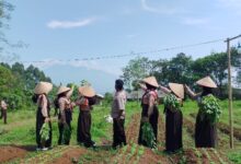 Raynia Camp Tawarkan Wisata Edukatif Berbasis Alam Dan Budaya Lokal