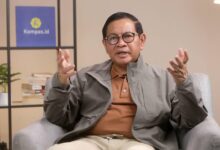 Cba Desak Pramono Anung Batalkan Tender Rp383,4 Miliar, Pt Jaya Konstruksi Diduga Ulangi Persengkongkolan
