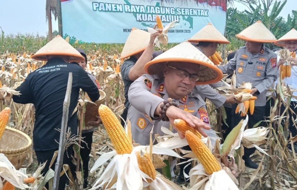 Rawat Ketahanan Pangan, Kapolres Serang Dijuluki Bapak Jagung Indonesia