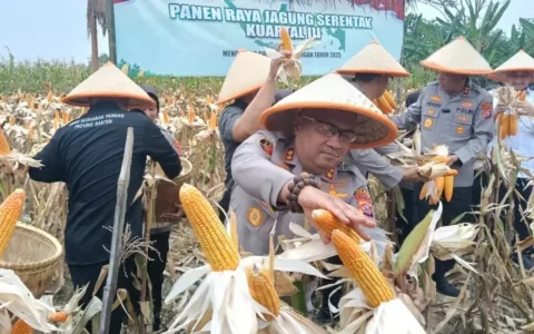 Rawat Ketahanan Pangan, Kapolres Serang Dijuluki Bapak Jagung Indonesia