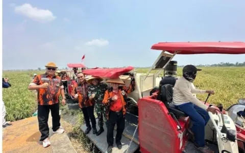 MPW Pemuda Pancasila Provinsi Banten Panen Raya Padi Bersama TNI dan Pemkot Serang