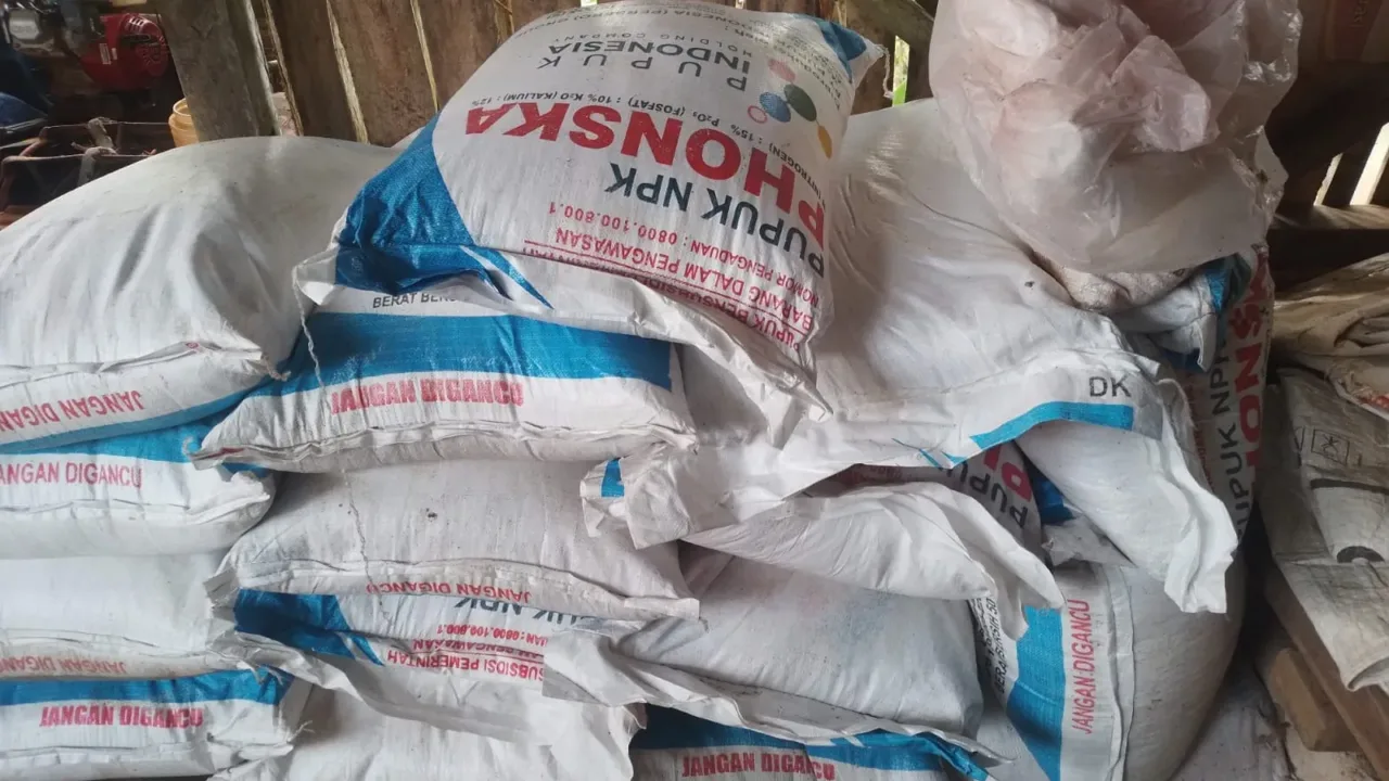 Polda Banten Diminta Usut Dugaan Penjualan Pupuk Subsidi di Atas HET di Desa Sindaglaya