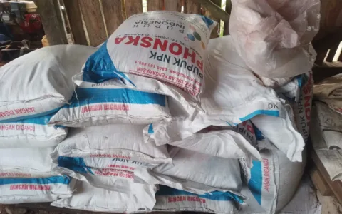 Polda Banten Diminta Usut Dugaan Penjualan Pupuk Subsidi di Atas HET di Desa Sindaglaya
