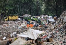 World Cleanup Day Hanya Seremoni, Menteri Lh Hanif Faisol Dikritik Pedas Soal Sampah