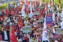 Harus Segera Pak Presiden, Spp Minta Negara Laksanakan Reforma Agraria