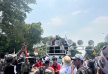 Terus Bergerak, Lmnd Dan Petani Lampung Desak Istana Hentikan Impor Tapioka