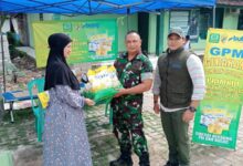 Dukung Program Presiden, Beras Sphp Bulog Bantu Jaga Stabilitas Harga Dan Ketersediaan Pangan