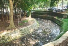Bcw Soroti Keras Kepala Dinas, Sampah Numpuk Di Irigasi Dekat Kantor Dlh Kabupaten Tangerang