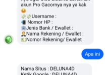 Pengamat Soroti Kinerja Menteri Komdigi Dalam Pemberantasan Judi Online