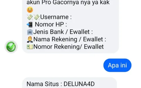 Pengamat Soroti Kinerja Menteri Komdigi dalam Pemberantasan Judi Online