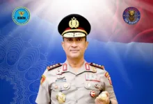 Bnn Berhasil Amankan 503 Kg Narkoba Pada Agustus-September 2025