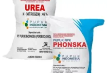 Dugaan Penjualan Pupuk Subsidi di Citorek Melebihi HET, Aktivis Desak Pemkab Lebak Bertindak