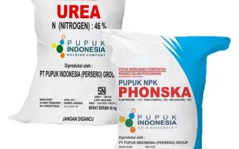 Dugaan Penjualan Pupuk Subsidi di Citorek Melebihi HET, Aktivis Desak Pemkab Lebak Bertindak