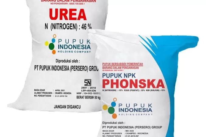 Dugaan Penjualan Pupuk Subsidi Di Citorek Melebihi Het, Aktivis Desak Pemkab Lebak Bertindak