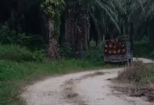 Pegiat Lingkungan Kesal, Lahan Sitaan Satgas PKH Diduga Dikuasai Kelompok Tertentu di Pasangkayu