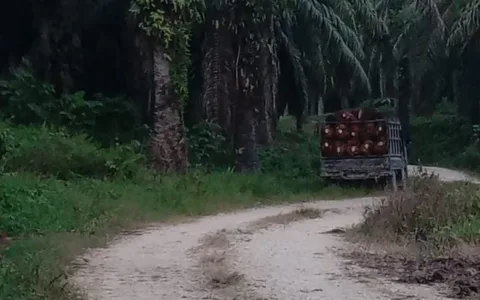 Pegiat Lingkungan Kesal, Lahan Sitaan Satgas PKH Diduga Dikuasai Kelompok Tertentu di Pasangkayu