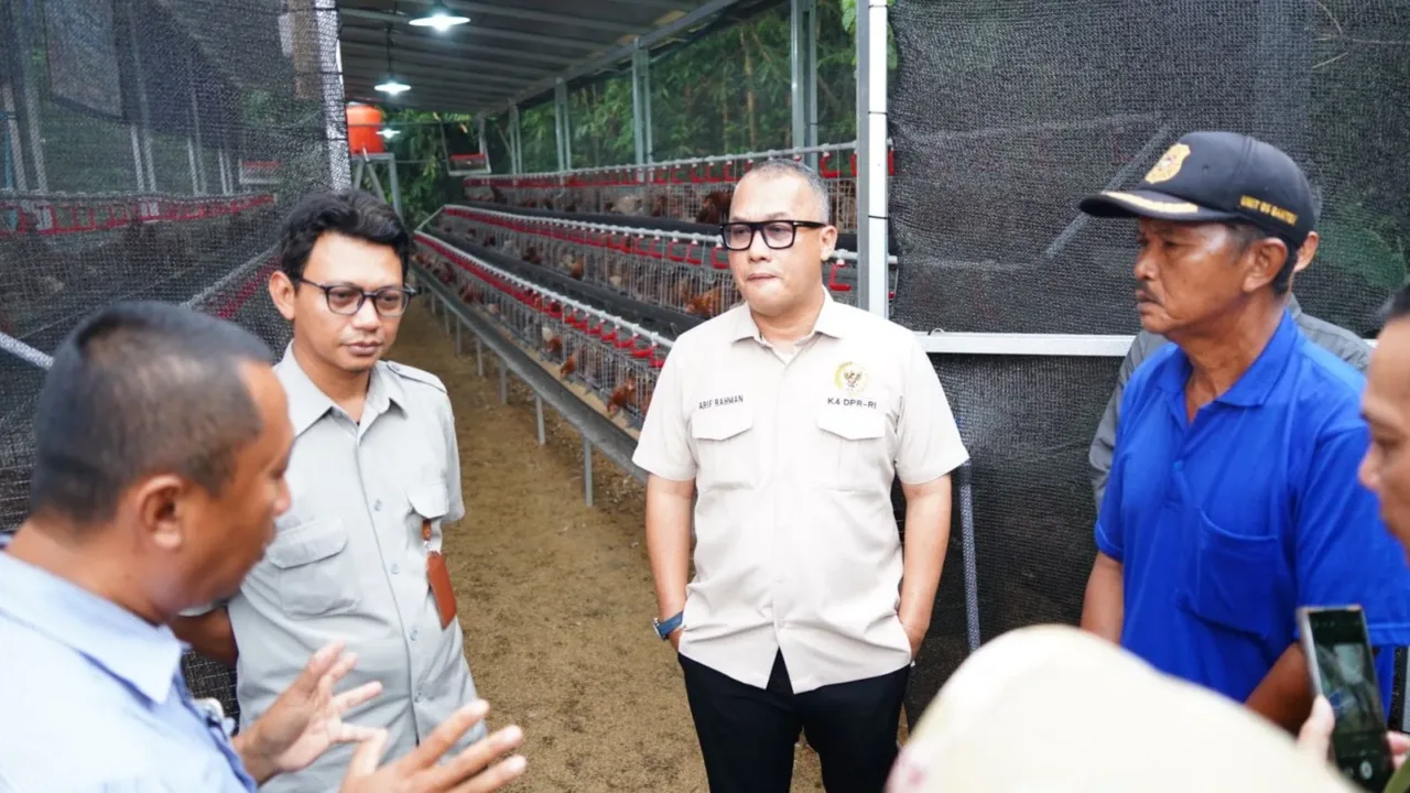 Komitmen Dorong Ekonomi Rakyat, Anggota DPR RI Fraksi NasDem Salurkan Bibit Ayam Petelur di Banten