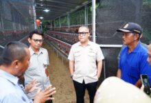 Komitmen Dorong Ekonomi Rakyat, Anggota Dpr Ri Fraksi Nasdem Salurkan Bibit Ayam Petelur Di Banten