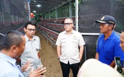 Komitmen Dorong Ekonomi Rakyat, Anggota DPR RI Fraksi NasDem Salurkan Bibit Ayam Petelur di Banten