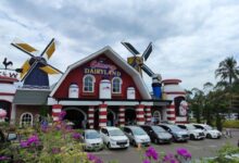 Dicakar Burung Merak, Pengunjung Somasi Dairyland Farm Theme Park Puncak