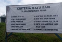 Aktivis Desak Usut Cv Sinarjaya, Wartawan Diduga Di Intimidasi Di Lapangan