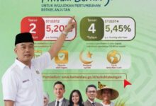Lwdb Tempatkan Dana Wakaf Rp440 Juta Di Green Sukuk Negara, Wujud Komitmen Ekonomi Kerakyatan