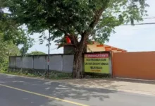Aktivis Soroti Borneo Kayu Indonesia, Pertanyakan Legalitas Kayu dan Pengelolaan Limbah