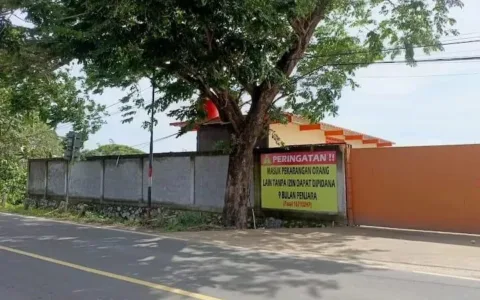Aktivis Soroti Borneo Kayu Indonesia, Pertanyakan Legalitas Kayu dan Pengelolaan Limbah