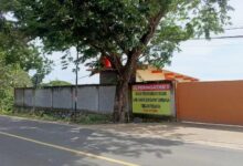 Aktivis Soroti Borneo Kayu Indonesia, Pertanyakan Legalitas Kayu Dan Pengelolaan Limbah
