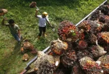 Jeritan Buruh Di Palembang Bergetar, Kbbi Tuntut Upah Layak Di 2026 Rp4,4 Juta