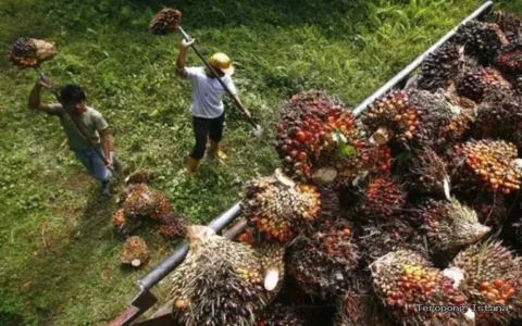 Jeritan Buruh di Palembang Bergetar, KBBI Tuntut Upah Layak di 2026 Rp4,4 Juta