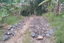 Program Jut Di Desa Cikeusik Diduga Bermasalah, Ambas Bakal Lapor Aph