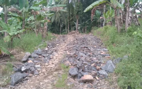 Program JUT di Desa Cikeusik Diduga Bermasalah, AMBAS Bakal Lapor APH